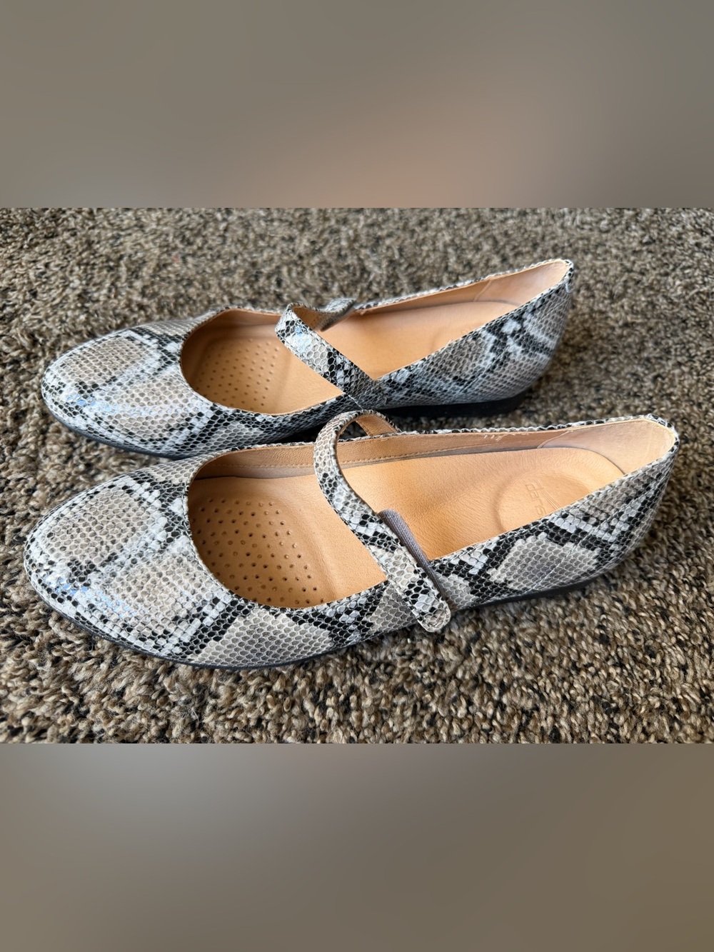 Dansko Mary Jane shoes